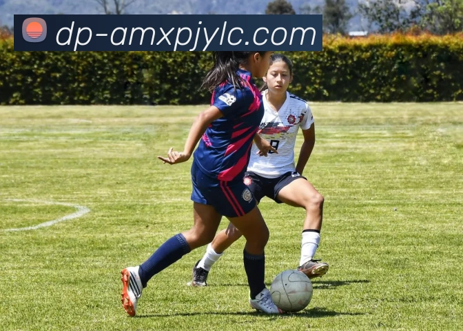 辅助工具 辅助工具